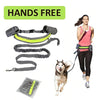 Hands Free Pet Leash