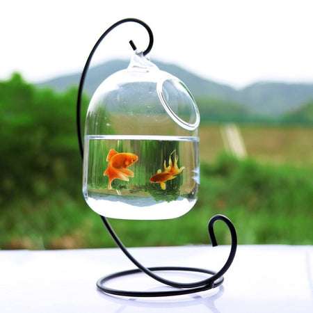 Hanging Aquarium