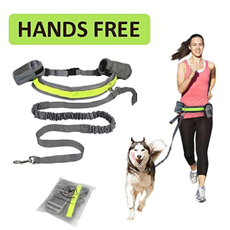 Hands Free Pet Leash