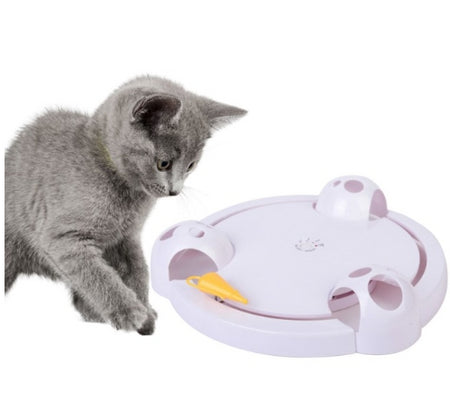 Interactive Cat Toy