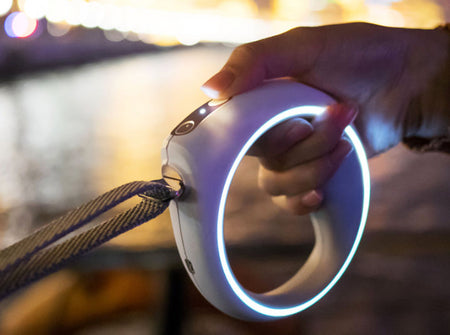 LED Collar Leash