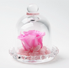 Rose Dome Home Decor